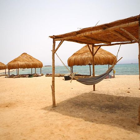 努韦巴探险海滩酒店 Nuweiba` 外观 照片