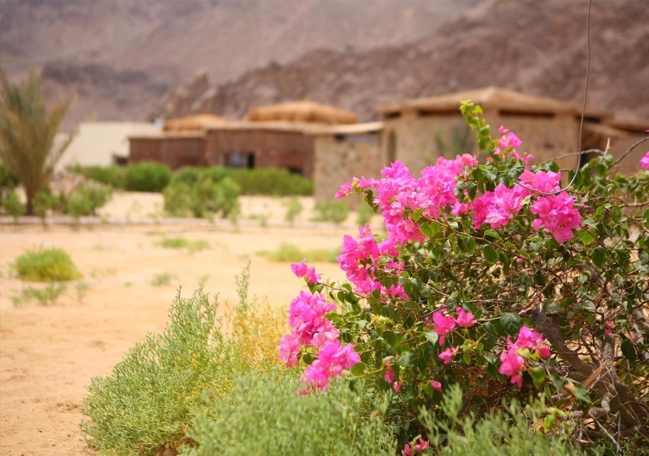 努韦巴探险海滩酒店 Nuweiba` 外观 照片