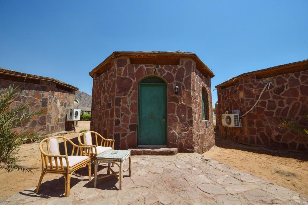 努韦巴探险海滩酒店 Nuweiba` 外观 照片