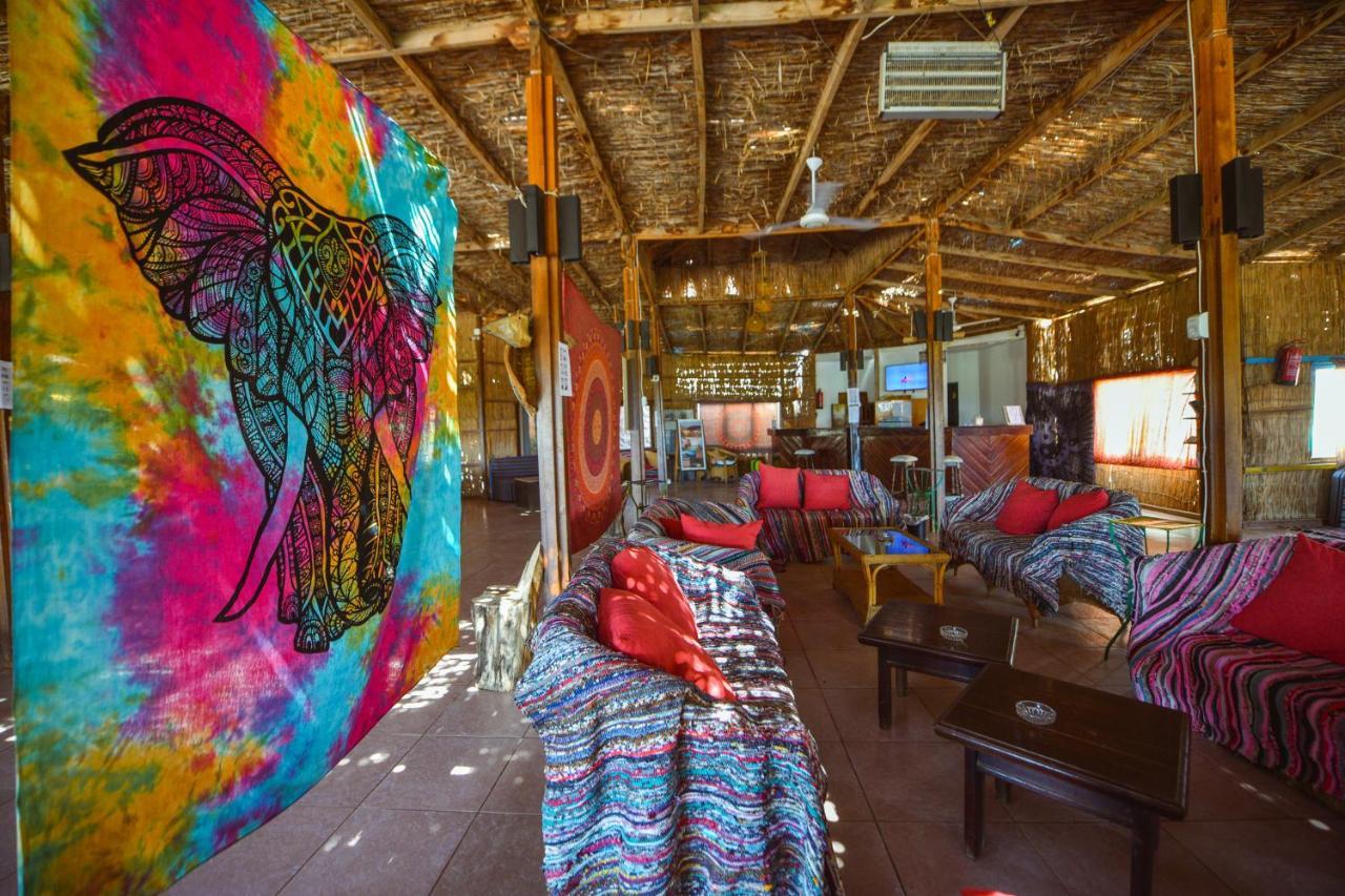 努韦巴探险海滩酒店 Nuweiba` 外观 照片